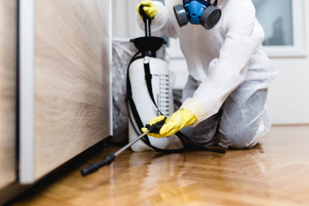 Best Pest Control for Restaurants  in Longview, TX
