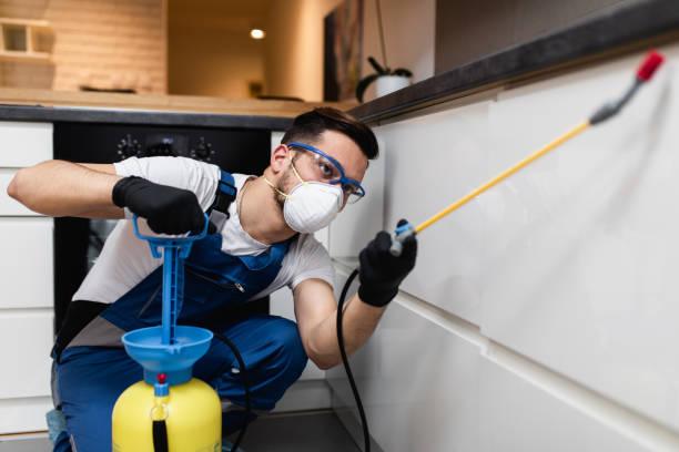 Best Exterminator Services  in Longview, TX