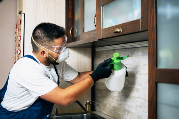 Best Pest Prevention Services  in Longview, TX