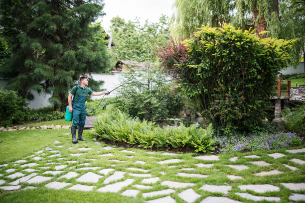 Pest Prevention Services in Longview, TX
