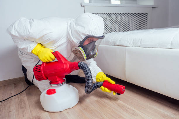Best Best Pest Control Companies  in Longview, TX