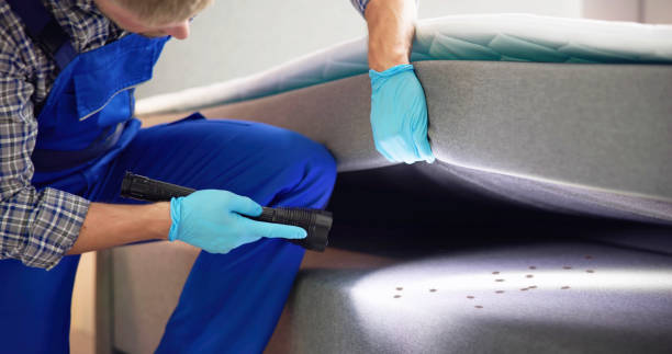 Best Pest Control Near Me in Longview, TX